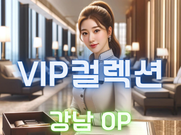 강남-VIP컬렉션(오피)