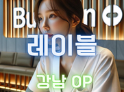 강남-레이블(오피)