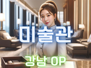 강남-미술관(오피)